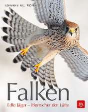 Falken