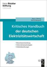 Kritisches Handbuch der deutschen Elektrizitätswirtschaft