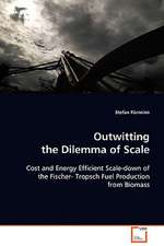 Outwitting the Dilemma of Scale