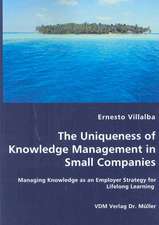 The Uniqueness of Knowledge Management in Small Companies: Managing Knowledge As an Employer Strategy for Lifelong Learning