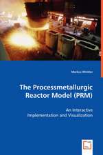 The Processmetallurgic Reactor Model (PRM)