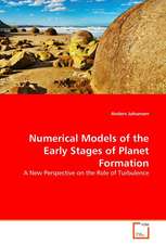 Numerical Models of the Early Stages of Planet Formation