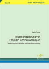 Investitionsrechnung Von Projekten in Windkraftanlagen