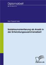 Sozialraumorientierung ALS Ansatz in Der Entwicklungszusammenarbeit: A Clash of Principles?