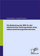 Die Bedeutung Des Sepa Fur Den Elektronischen Zahlungsverkehr Eines Lebensversicherungsunternehmens