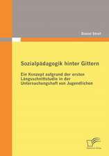 Sozialp Dagogik Hinter Gittern: Ein Konzept Aufgrund Der Ersten L Ngsschnittstudie in Der Untersuchungshaft Von Jugendlichen