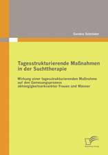 Tagesstrukturierende Ma Nahmen in Der Suchttherapie: Das Indikatororientierte Fr Haufkl Rungssystem Zur Krisenpr Vention Im Unternehmen