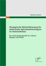 Strategische Rohstoffplanung Fur Elektrische Antriebstechnologien Im Automobilbau: Eine Entscheidungshilfe Fur Lithium, Neodym Und Platin