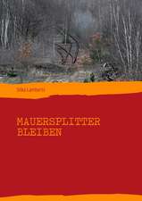 Mauersplitter bleiben