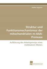 Struktur und Funktionsmechanismus der mitochondrialen m-AAA-Protease