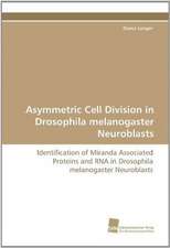 Asymmetric Cell Division in Drosophila Melanogaster Neuroblasts