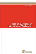 Role of Caveolae in Membrane Mechanics