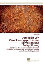 Detektion von Verockerungsprozessen, Korrosion und Belagbildung