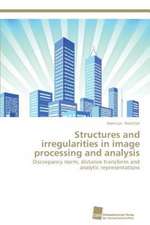 Structures and irregularities in image processing and analysis