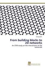 From building blocks to 2D networks