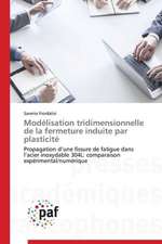 Modélisation tridimensionnelle de la fermeture induite par plasticité