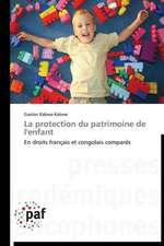 La protection du patrimoine de l'enfant