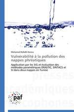 Vulnérabilité à la pollution des nappes phréatiques