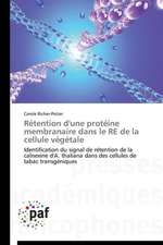 Rétention d'une protéine membranaire dans le RE de la cellule végétale