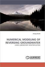 Numerical Modeling of Reversing Groundwater