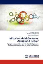 Mitochondrial Genome, Aging and Repair