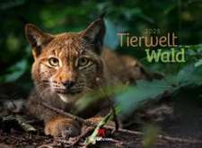 Tierwelt Wald Kalender 2025