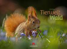 Tierwelt Wald Kalender 2026