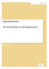 Die Beurteilung von Ratingagenturen