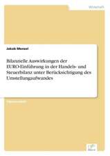 Bilanzielle Auswirkungen der EURO-Einführung in der Handels- und Steuerbilanz unter Berücksichtigung des Umstellungaufwandes