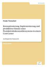 Konzeptionierung, Implementierung und produktiver Einsatz eines Produktivitätskennzahlensystems in einem Cost-Center