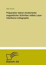 Präparation lateral strukturierter magnetischer Schichten mittels Laser-Interferenz-Lithographie