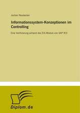 Informationssystem-Konzeptionen im Controlling