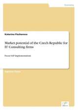 Market potential of the Czech Republic for IT Consulting firms