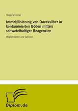 Immobilisierung von Quecksilber in kontaminierten Böden mittels schwefelhaltiger Reagenzien