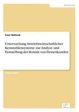 Untersuchung betriebswirtschaftlicher Kennzahlensysteme zur Analyse und Feststellung der Bonität von Firmenkunden