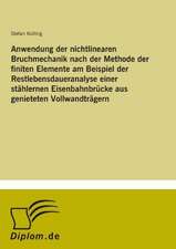 Anwendung der nichtlinearen Bruchmechanik nach der Methode der finiten Elemente am Beispiel der Restlebensdaueranalyse einer stählernen Eisenbahnbrücke aus genieteten Vollwandträgern