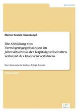 Die Abbildung von Vermögensgegenständen im Jahresabschluss der Kapitalgesellschaften während des Insolvenzverfahrens