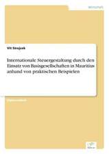 Internationale Steuergestaltung durch den Einsatz von Basisgesellschaften in Mauritius anhand von praktischen Beispielen