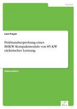 Prüfstandserprobung eines BHKW-Kompaktmoduls von 85 KW elektrischer Leistung