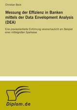 Messung der Effizienz in Banken mittels der Data Envelopment Analysis (DEA)