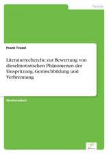 Literaturrecherche Zur Bewertung Von Dieselmotorischen Phanomenen Der Einspritzung, Gemischbildung Und Verbrennung: Yusuf Has Hacib