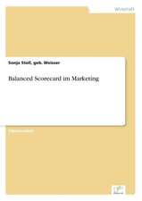 Balanced Scorecard Im Marketing: Messung Des E-Business-Erfolges