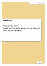 Konzeption Einer Kundenzufriedenheitsanalyse Am Beispiel Des Kunden VW/Audi: Messung Des E-Business-Erfolges