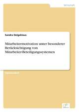 Mitarbeitermotivation Unter Besonderer Berucksichtigung Von Mitarbeiter-Beteiligungssystemen