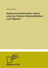 Analyse Des Radiomarktes Islands Unter Den Kriterien Wirtschaftlichkeit Und Programm: Messung Des E-Business-Erfolges