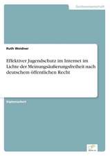 Effektiver Jugendschutz Im Internet Im Lichte Der Meinungsausserungsfreiheit Nach Deutschem Offentlichen Recht: Optionspreistheorie Zur Bewertung Von Investitionen Mit Einem Beispiel Aus Der Softwareentwicklung