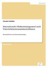 Internationales Markenmanagement Nach Unternehmenszusammenschlussen: Optionspreistheorie Zur Bewertung Von Investitionen Mit Einem Beispiel Aus Der Softwareentwicklung