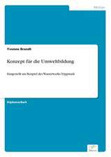 Konzept Fur Die Umweltbildung: Goodwill and Other Intangible Assets