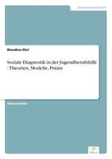 Soziale Diagnostik in Der Jugendberufshilfe - Theorien, Modelle, Praxis