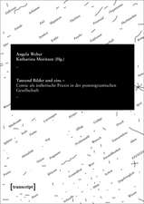 Tausend Bilder und eins: Comic als ästhetische Praxis in der postmigrantischen Gesellschaft